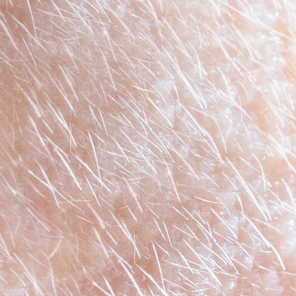 Grey/White Grey/White